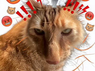 Brush Jjaemu background