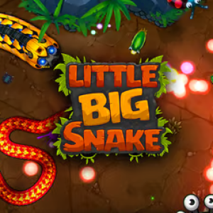 Little Big Snake